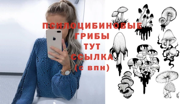 метадон Аркадак