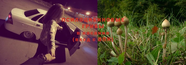 спиды Баксан